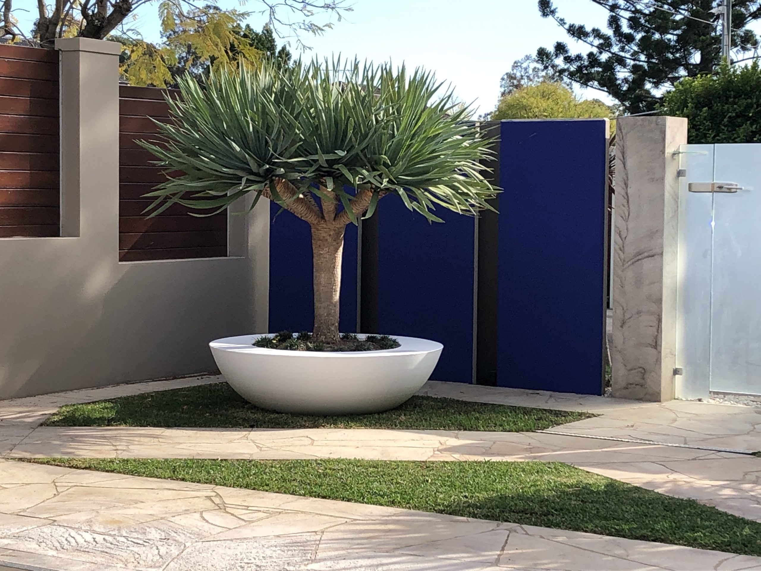 Giant Low Bowl - Image 3