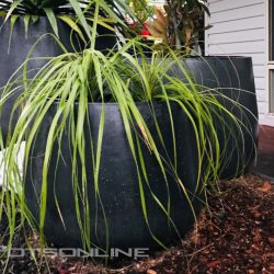 Maximus GRC Bung Planter - Potsonline