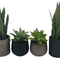 Potsonline - Maximus GRC Bung Planter