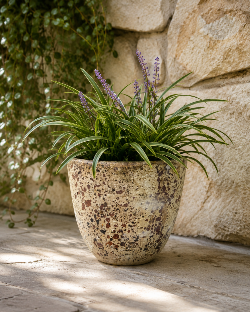 Egg Shape Planter - Image 3