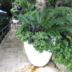 Potsonline - Satin White Finish - Egg Planter