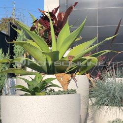 Potsonline - Lightweight Terrazzo - Giant Egg Planter