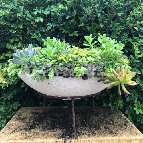 Low Bowl Pots Sydneys Best, Low Bowl Garden Planter