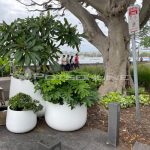 Tub Planter – Potsonline – Sydneys best range of Garden Pots, Troughs ...