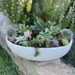 Oval Bowl – Potsonline – Sydneys best range of Garden Pots, Troughs and ...