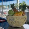 Potsonline - Atlantis - Succulent Bowl
