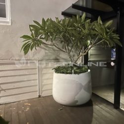 Potsonline - Lightweight Satin Tub Planter