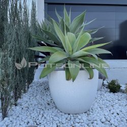 Potsonline - Lightweight Terrazzo - Giant Egg Planter