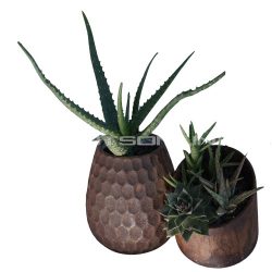 Potsonline - Metal Effect - Succulent Wall Planter and Dimple Pot