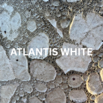 ATLANTIS WHITE (1)